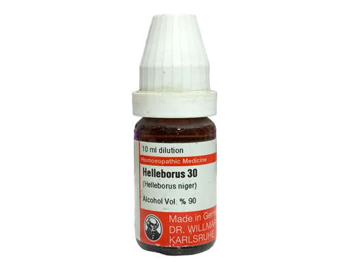 Picture of Helleborus 30 10ml Pot